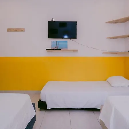 Homestay Dilla House *